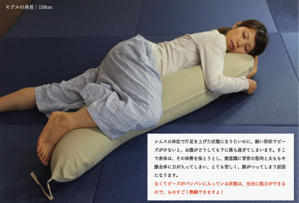 dakimakura.png 抱きまくら