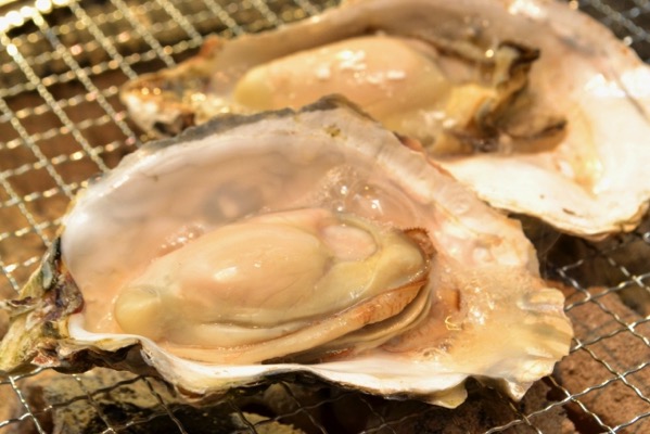 oyster.jpg 牡蠣
