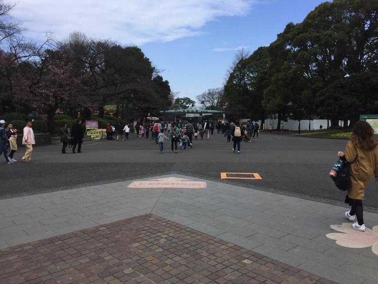 上野動物園 入園料無料の日