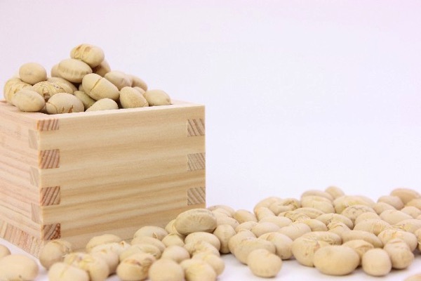 mame.jpg 節分の豆