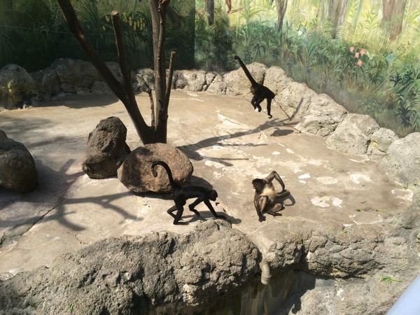 江戸川区自然動物園