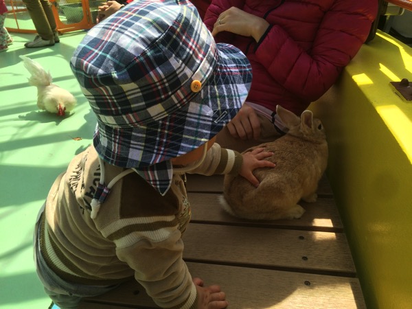 江戸川区自然動物園