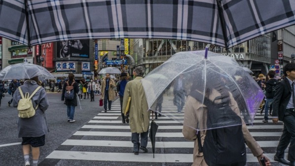 rain.jpg 江東区の遊び場
