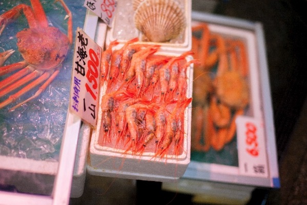 ebikanikusu.jpg エビカニクス