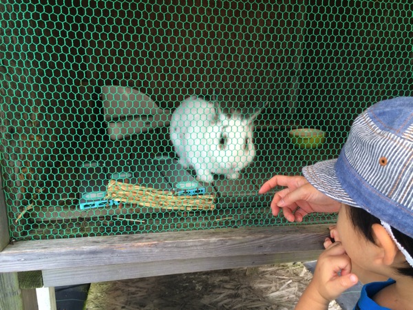 館山パイオニアファーム