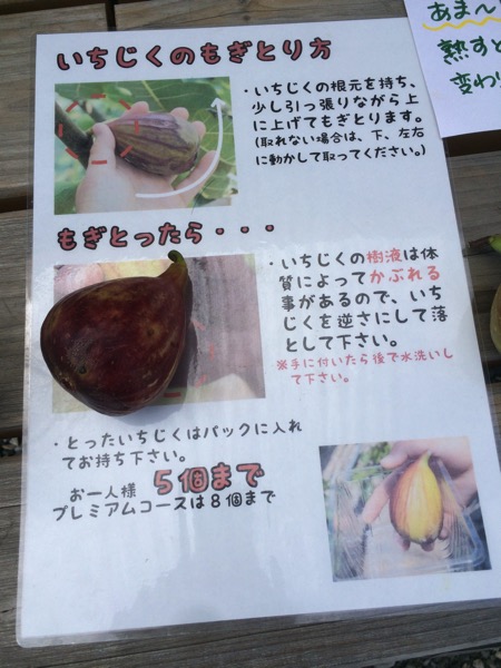 館山パイオニアファーム