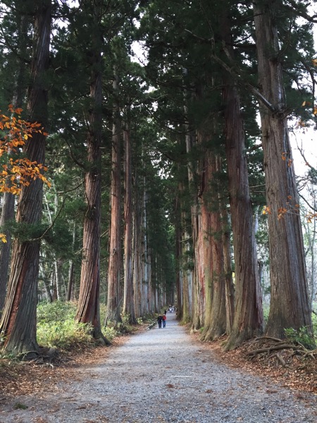 戸隠神社の奥社