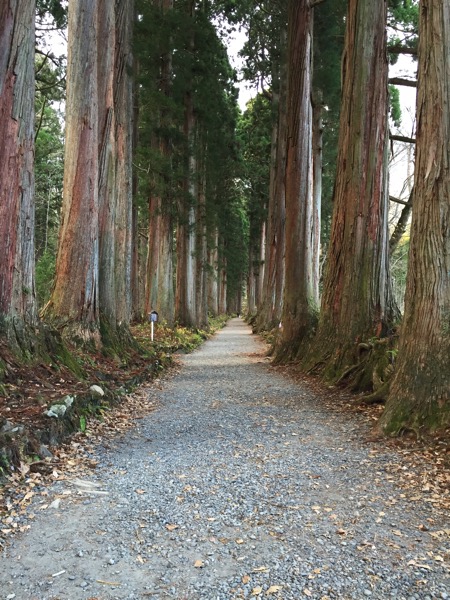 戸隠神社の奥社