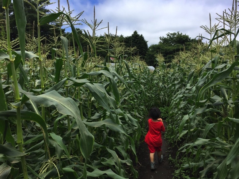 もろこし村