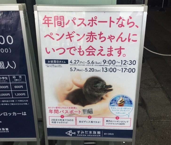 pengin-baby2.jpg すみだ水族館のペンギンの赤ちゃん