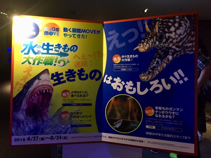 sumida-midokoro.jpg すみだ水族館の見どころ