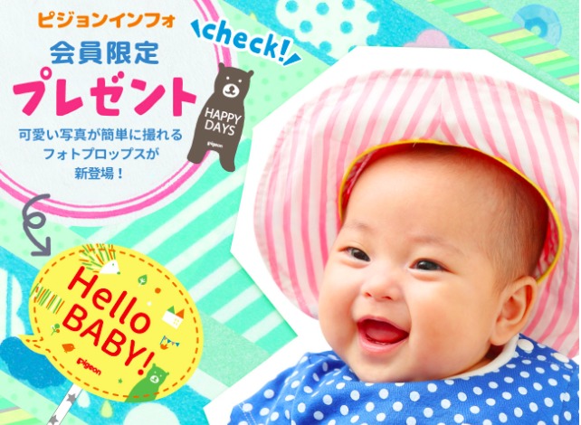 pijoninfo.png ピジョンインフォ