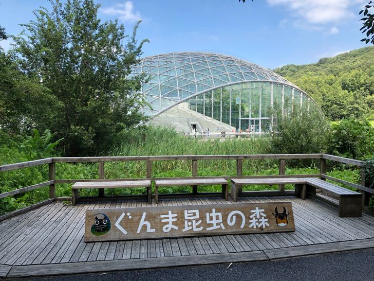 ぐんま昆虫の森の口コミ体験談！昆虫好きの子供がとびっきりの笑顔を見せる最高の遊び場