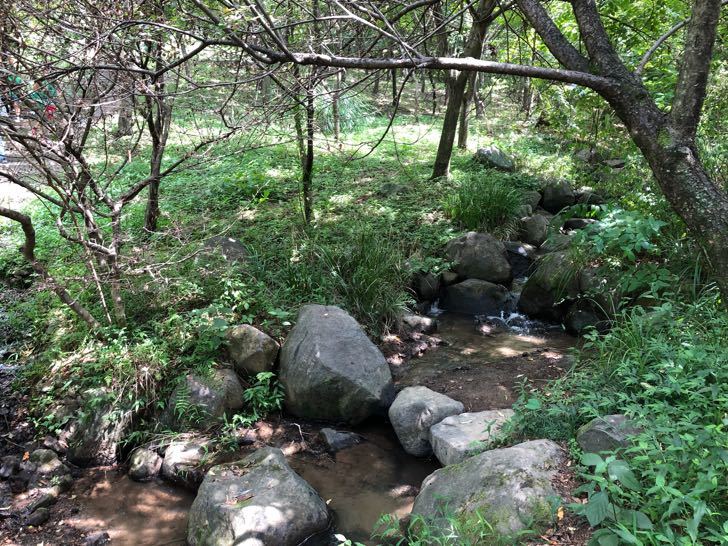 ぐんま昆虫の森の口コミ体験談！昆虫好きの子供がとびっきりの笑顔を見せる最高の遊び場